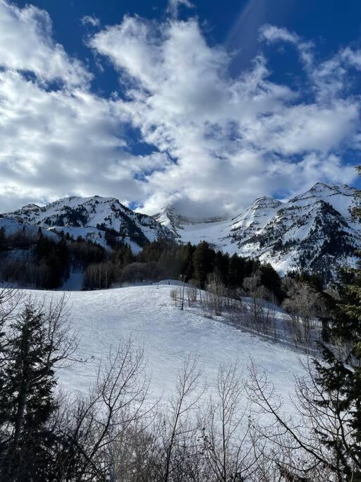 Utah Valley Retreat - Luxurious Self Check-In Apt, Uvu Byu, Ev Charge Διαμέρισμα Orem Εξωτερικό φωτογραφία